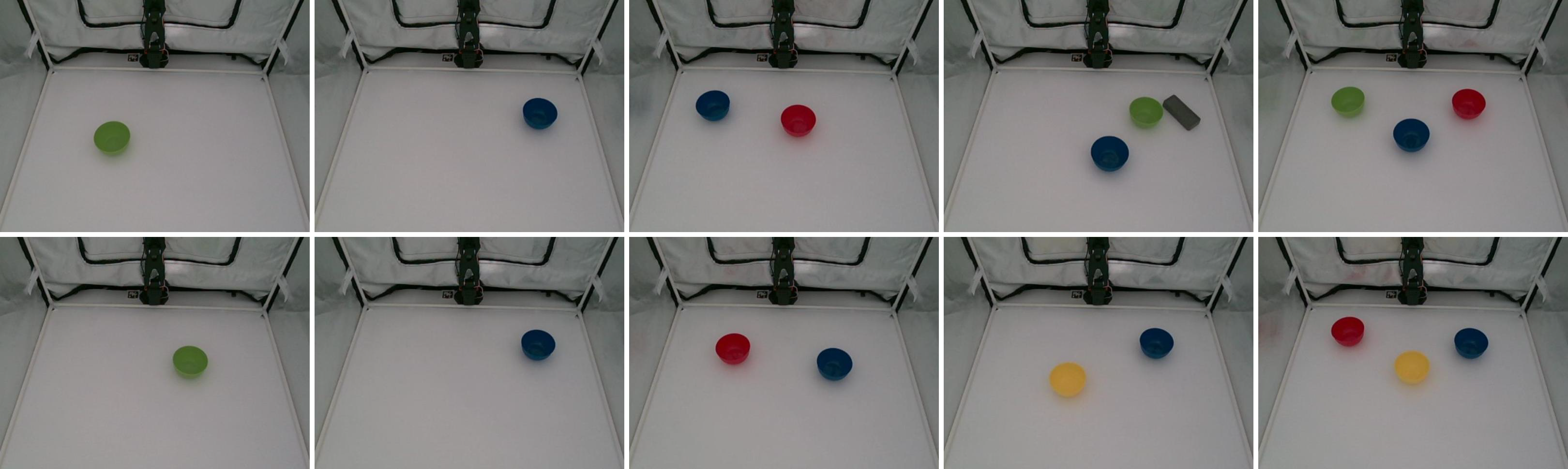 Task 8 reference images
