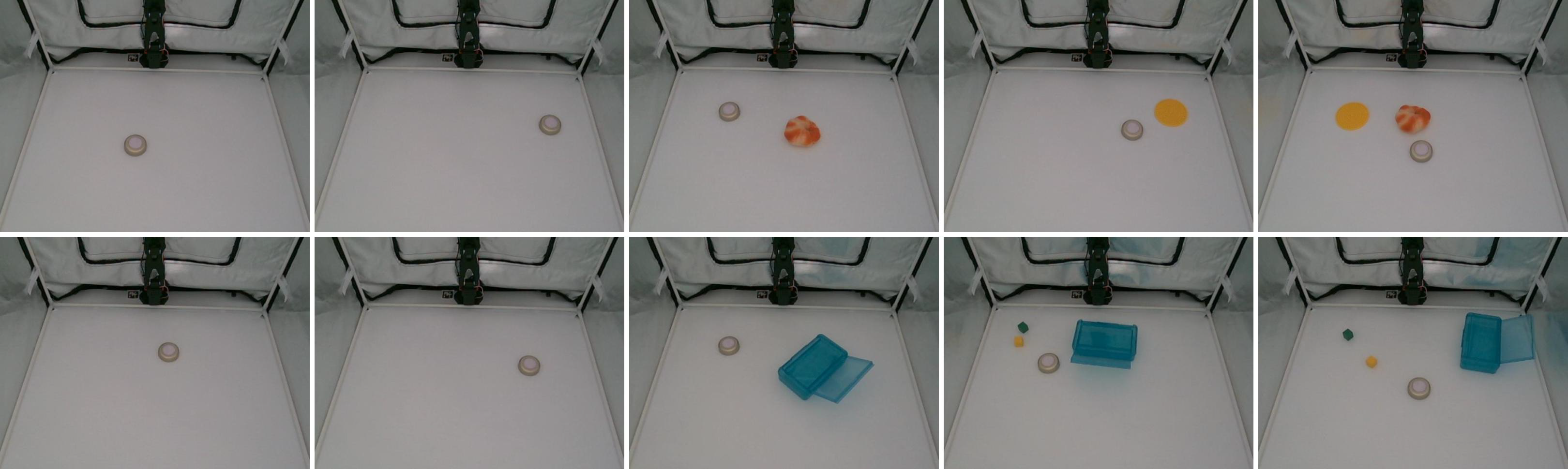 Task 9 reference images